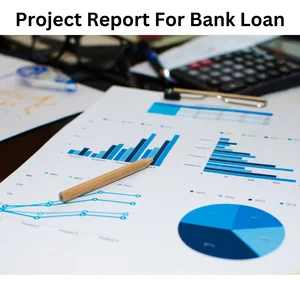 Project Report